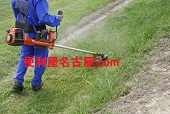 草刈り草むしり代行
